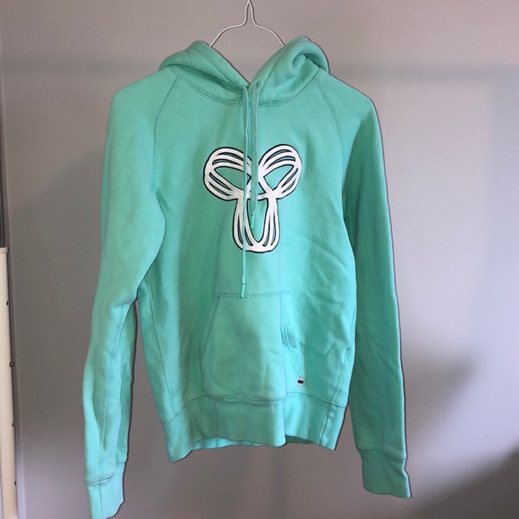 teal tna hoodie from aritzia - Picture 2 of 3
